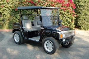 affordable golf cart rental, golf cart rent anaheim golf cart rental 