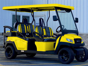 golf cart rental anaheim, anaheim golf cart rental